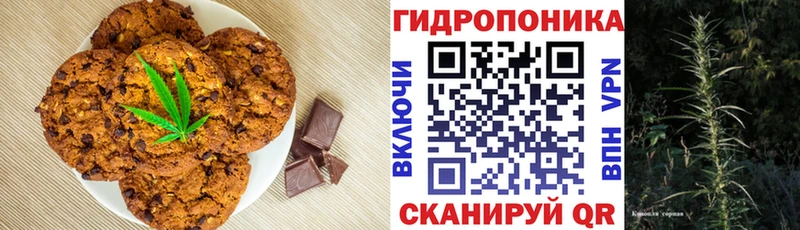 маркетплейс наркотические препараты  Камызяк  Canna-Cookies конопля  купить  цена 